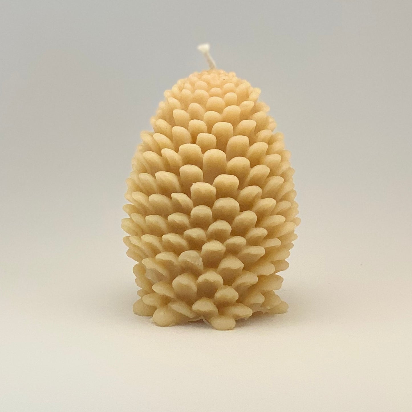 Bees Wax Candle