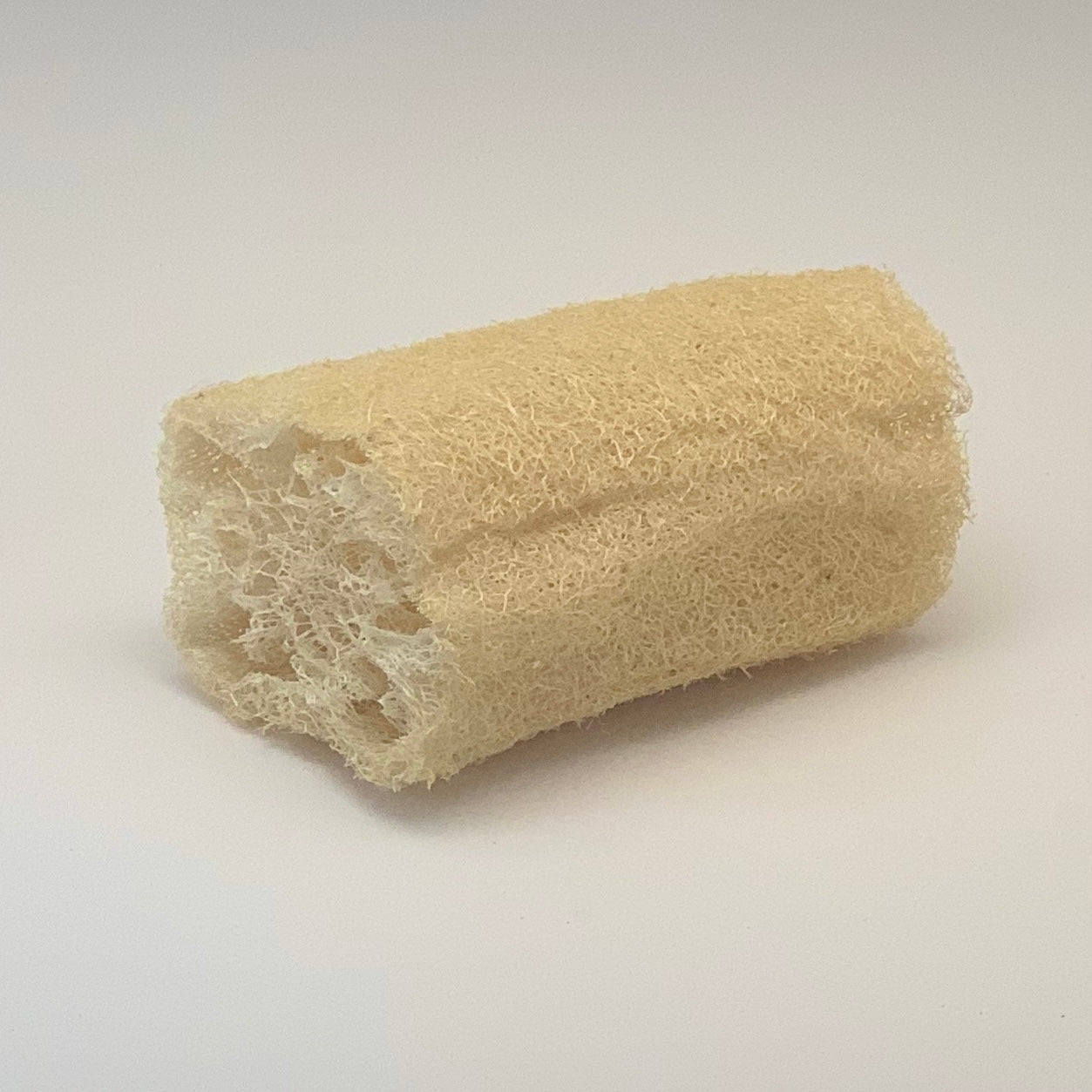 Loofah & Sea Sponge