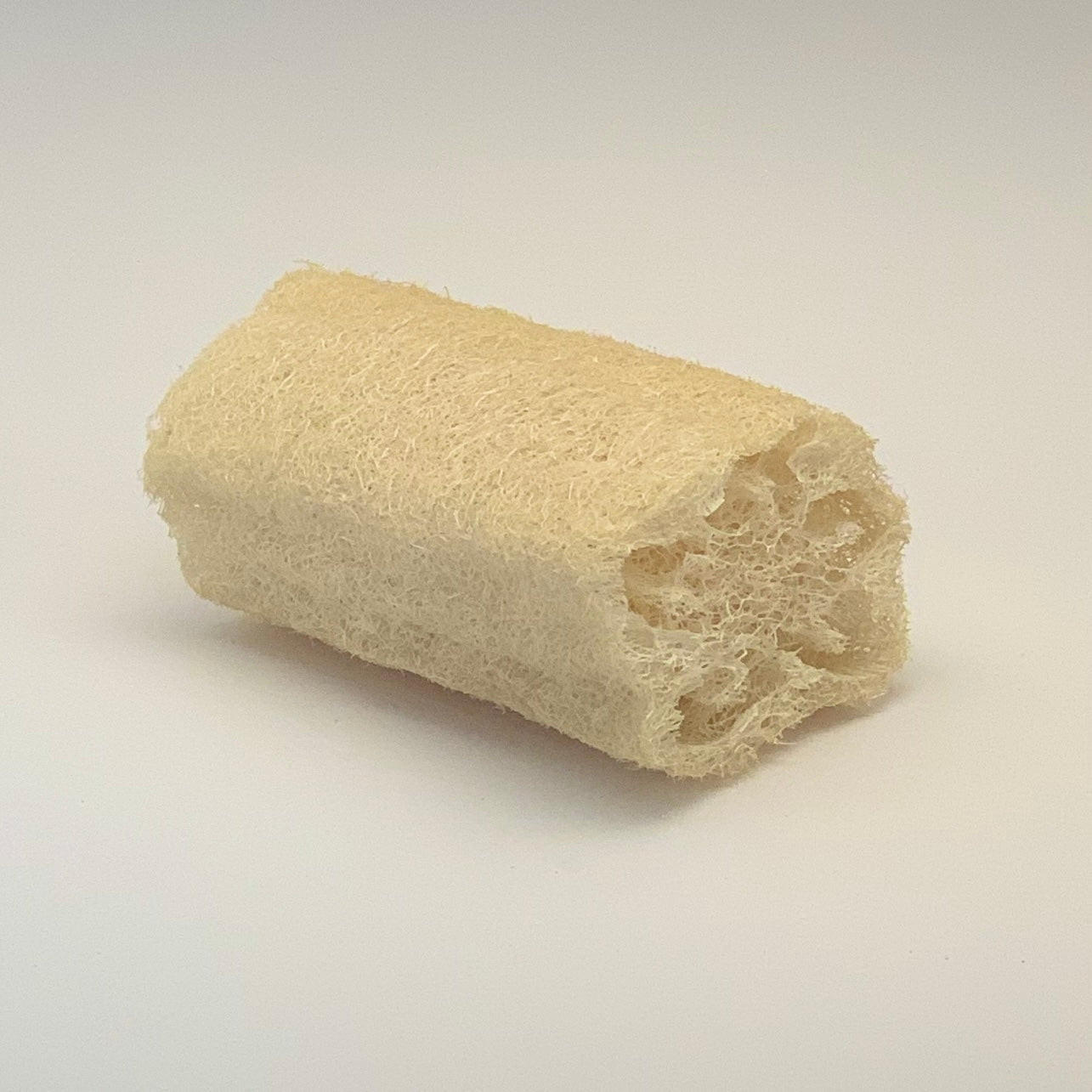 Loofah & Sea Sponge