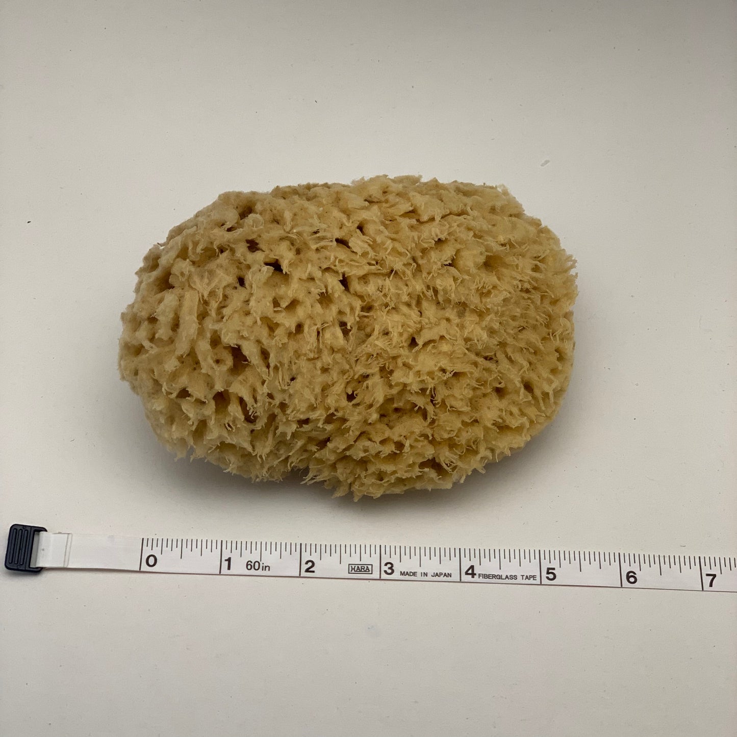 Loofah & Sea Sponge